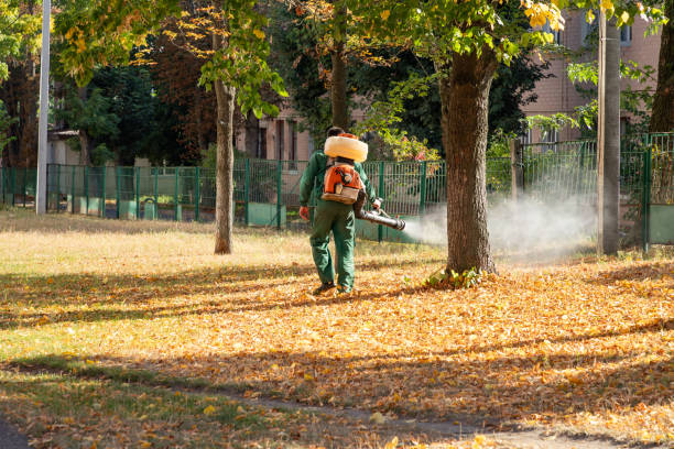 Best Pest Removal Services  in Hayden, AL